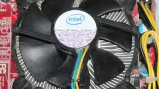 6888