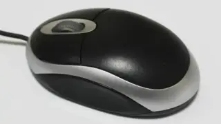 7004