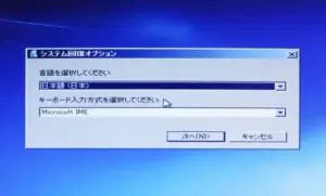kaifukuoption