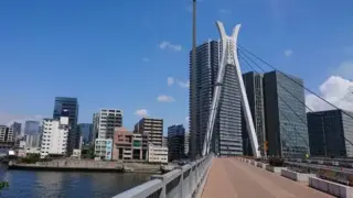 7244