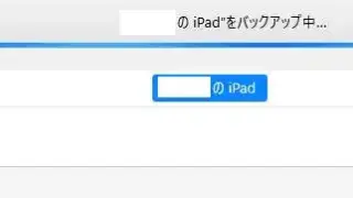 7273