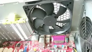 7296