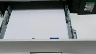 7428