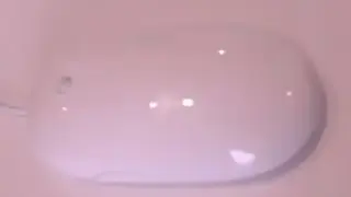 7407
