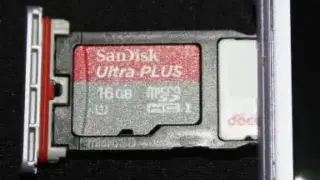 55