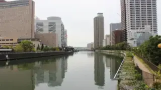 231