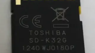 313