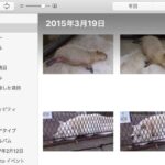 Macの写真アプリで画像が消えた時にデータを復元するには？　