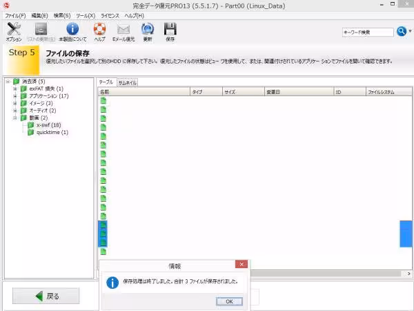 動画データの保存