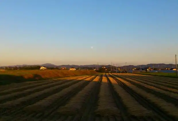 栃木