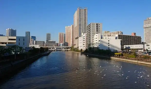 都市部