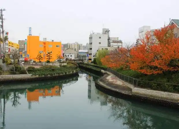 堺市