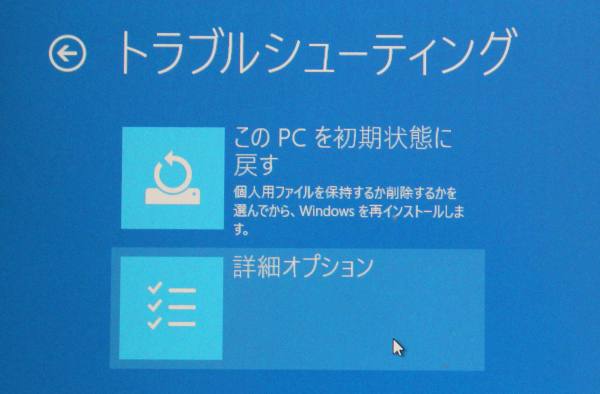 詳細オプション