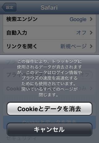 Safariのデータの消去画面