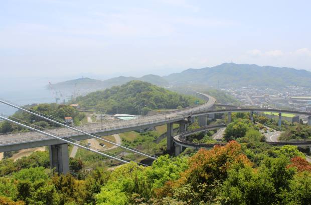 愛媛