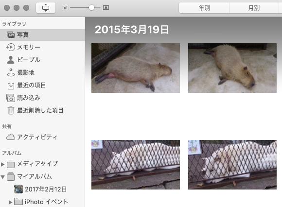 写真アプリ