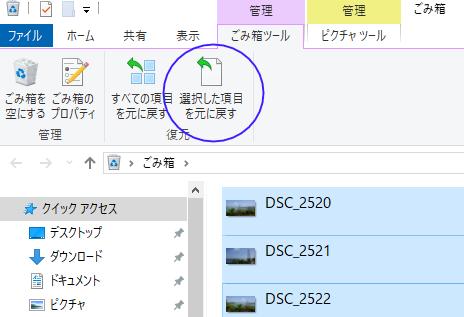 ごみ箱に入ったデータを元に戻す