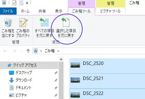 ごみ箱に入ったデータを元に戻す