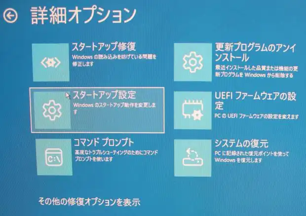 詳細オプション画面のスタートアップ設定