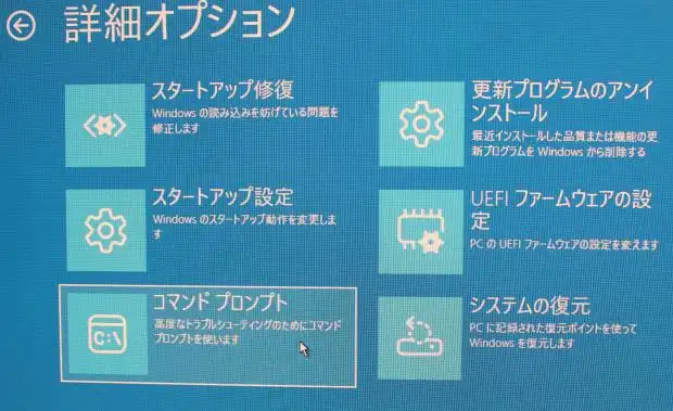 詳細オプションの画面