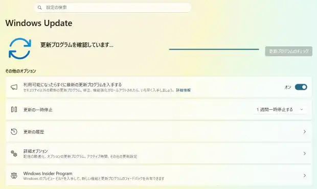 Windowsのチェック