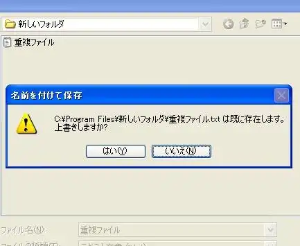 重複ファイル例