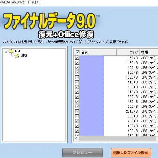 ファイナルデータ
